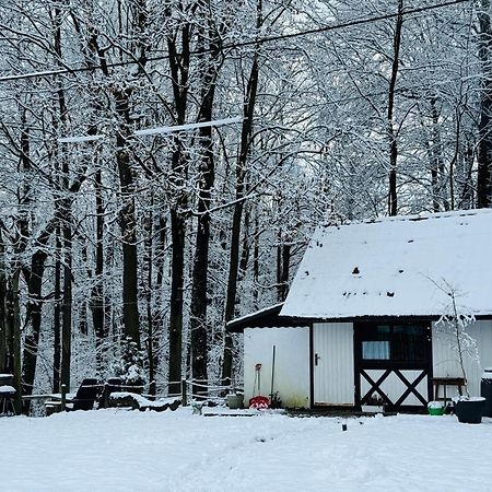 Romantyczna Chatka Pisarzowice  Esterno foto