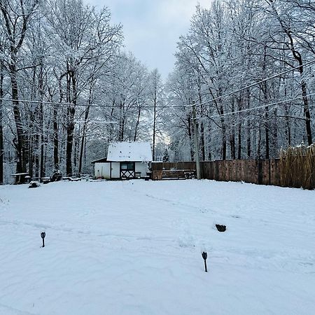 Romantyczna Chatka Pisarzowice  Esterno foto