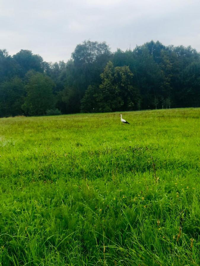 Romantyczna Chatka Pisarzowice  Esterno foto