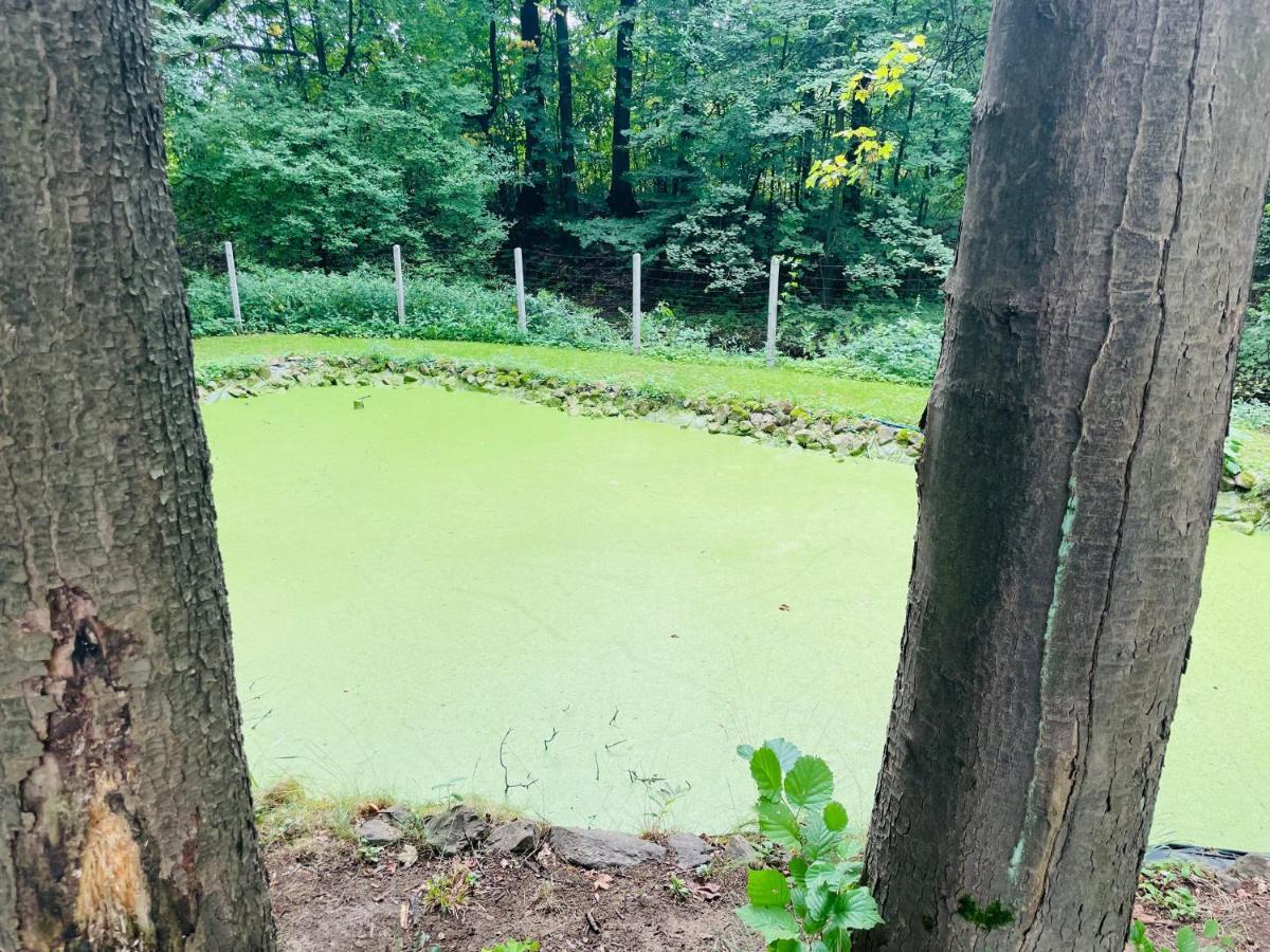 Romantyczna Chatka Pisarzowice  Esterno foto