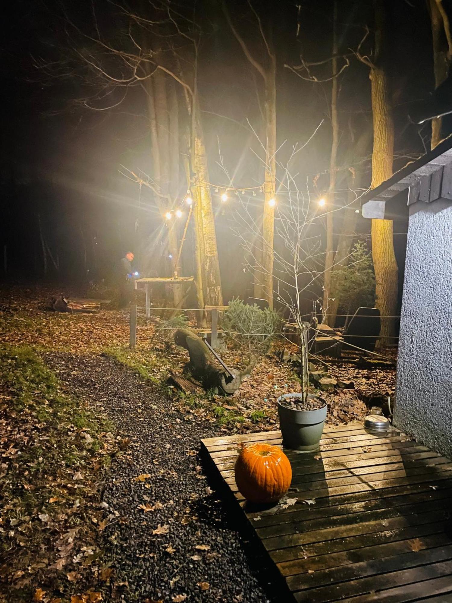 Romantyczna Chatka Pisarzowice  Esterno foto