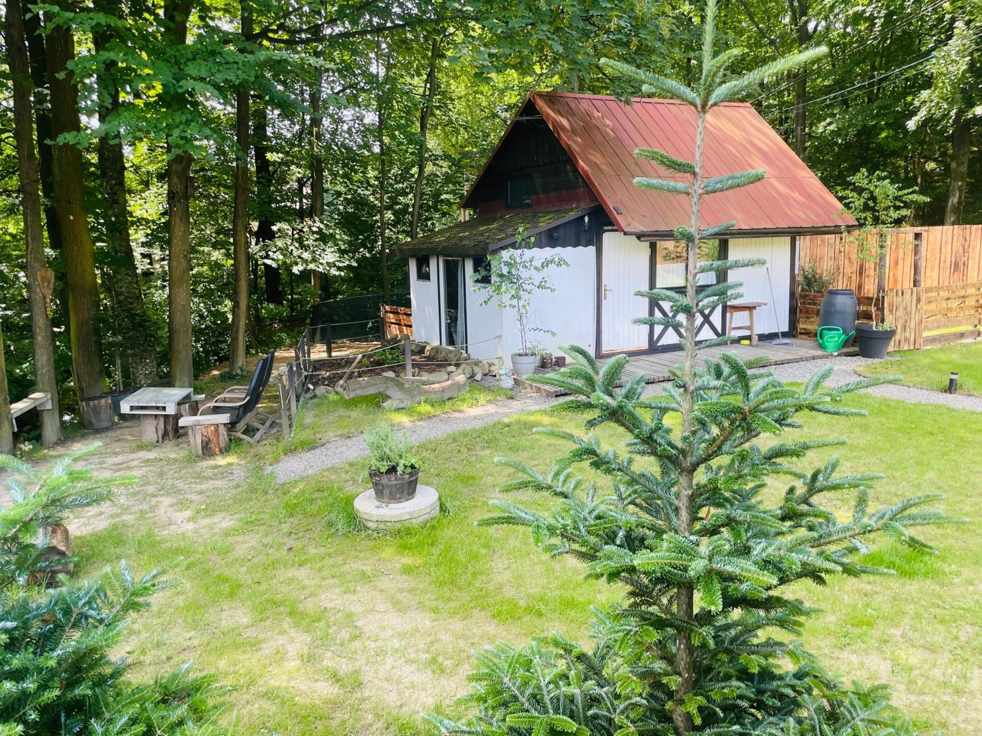 Romantyczna Chatka Pisarzowice  Esterno foto