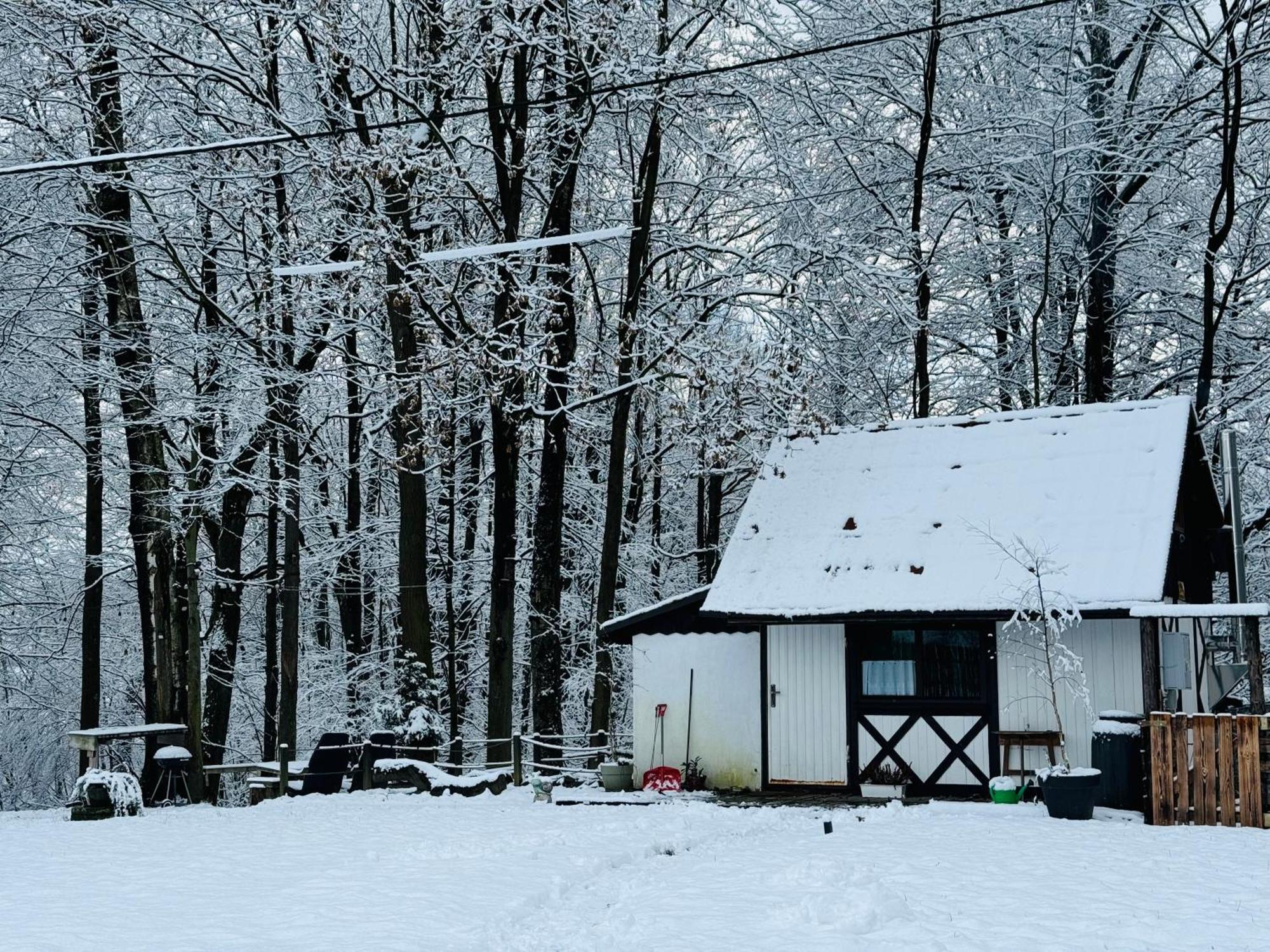 Romantyczna Chatka Pisarzowice  Esterno foto