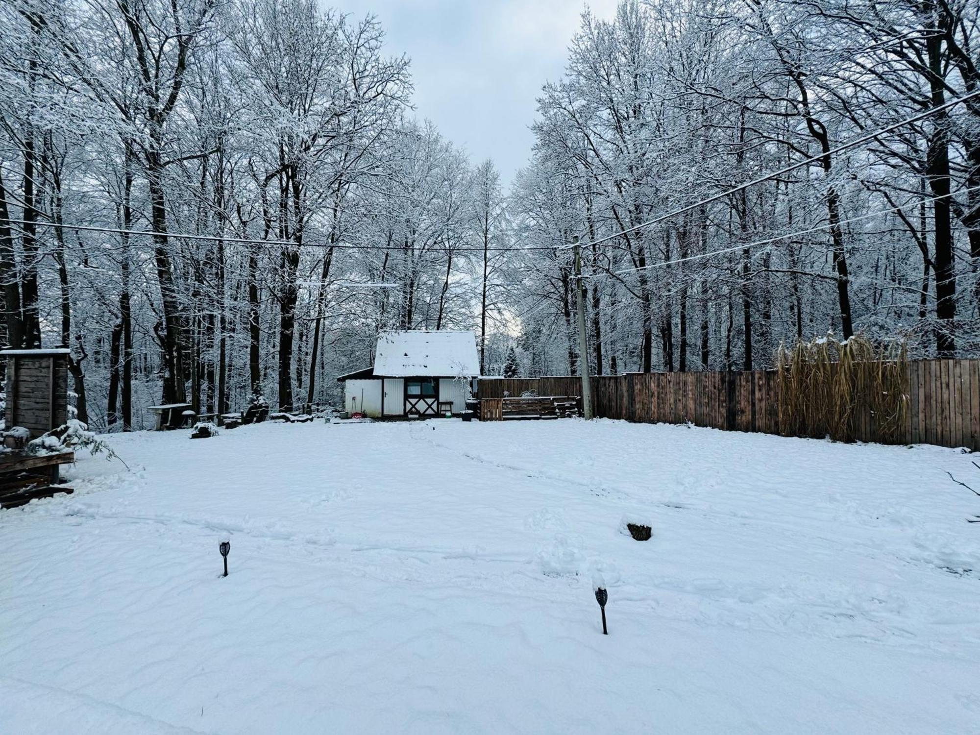 Romantyczna Chatka Pisarzowice  Esterno foto