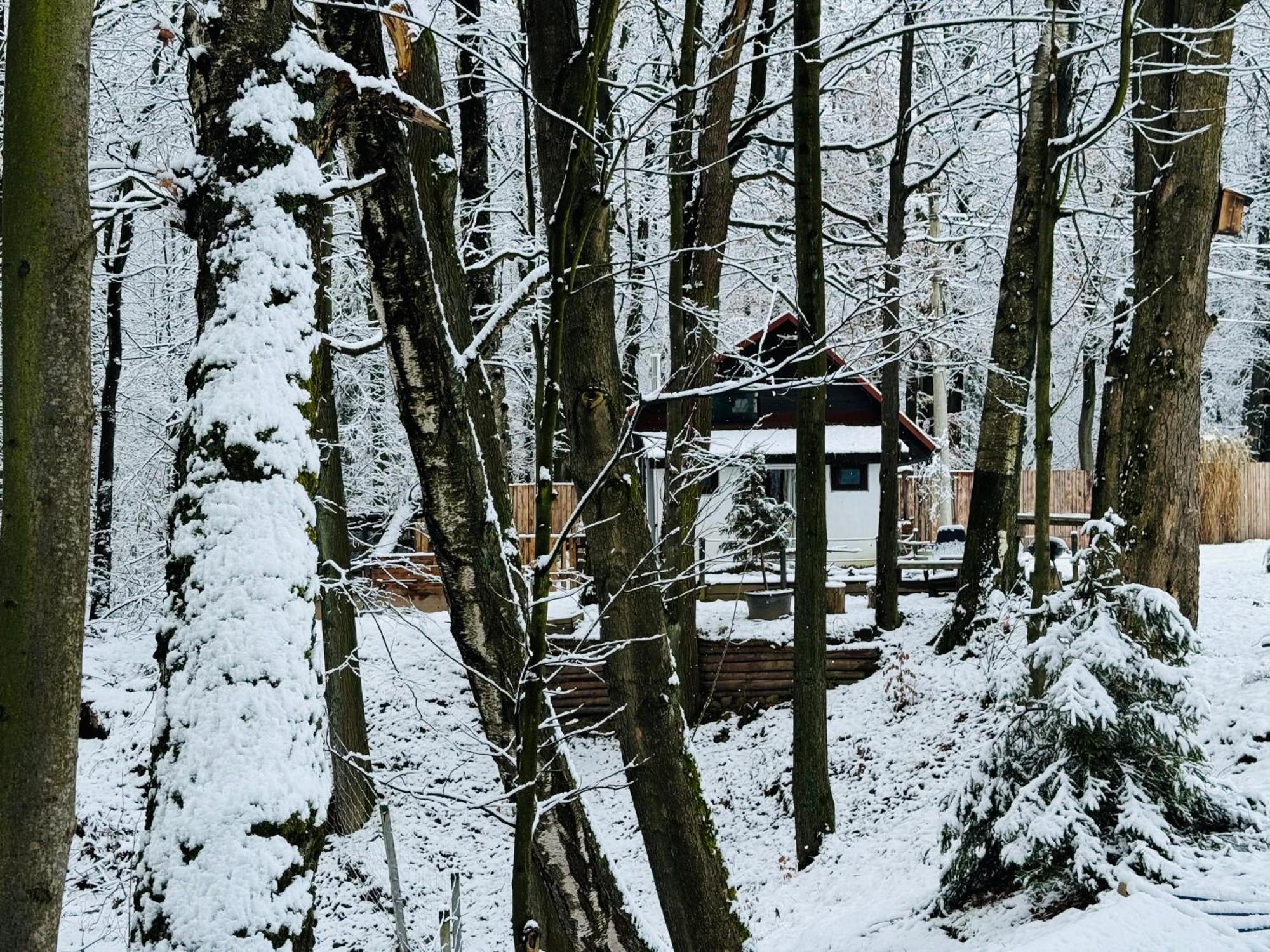 Romantyczna Chatka Pisarzowice  Esterno foto